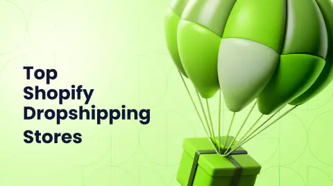 Top 10 Profitable Shopify Dropshipping Stores
