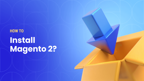 How to Install Magento 2 with Composer or Manually – Step-By-Step Guide