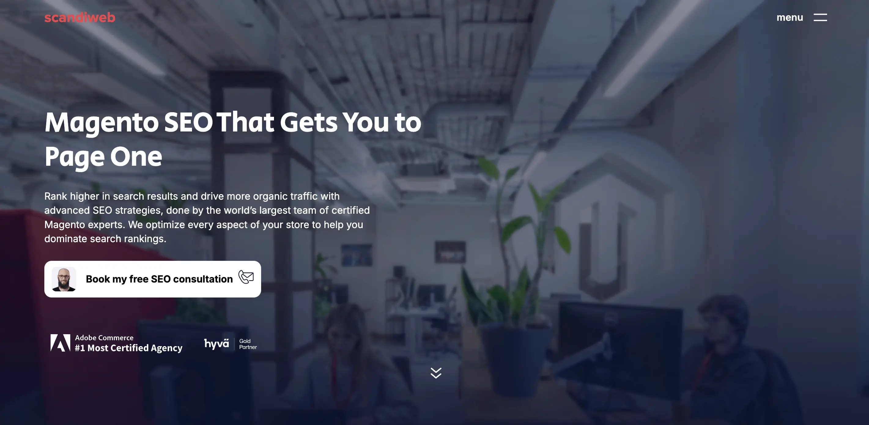 Scandiweb SEO Services