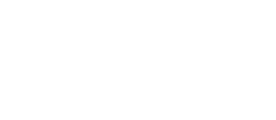 SalesForce-t